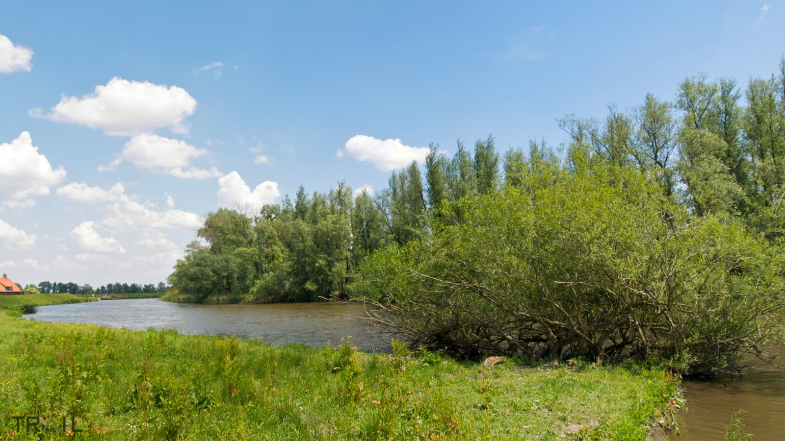 Dordtse Biesbosch Trail Run - Trail.nl