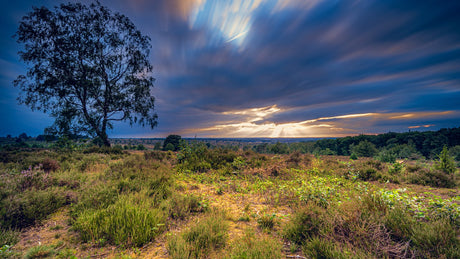 Haarlerbergtrail - Trail.nl