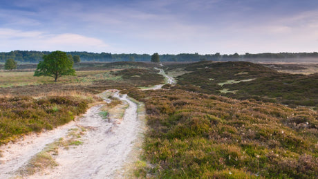 Hollands Duin Ultra 2024 - Trail.nl