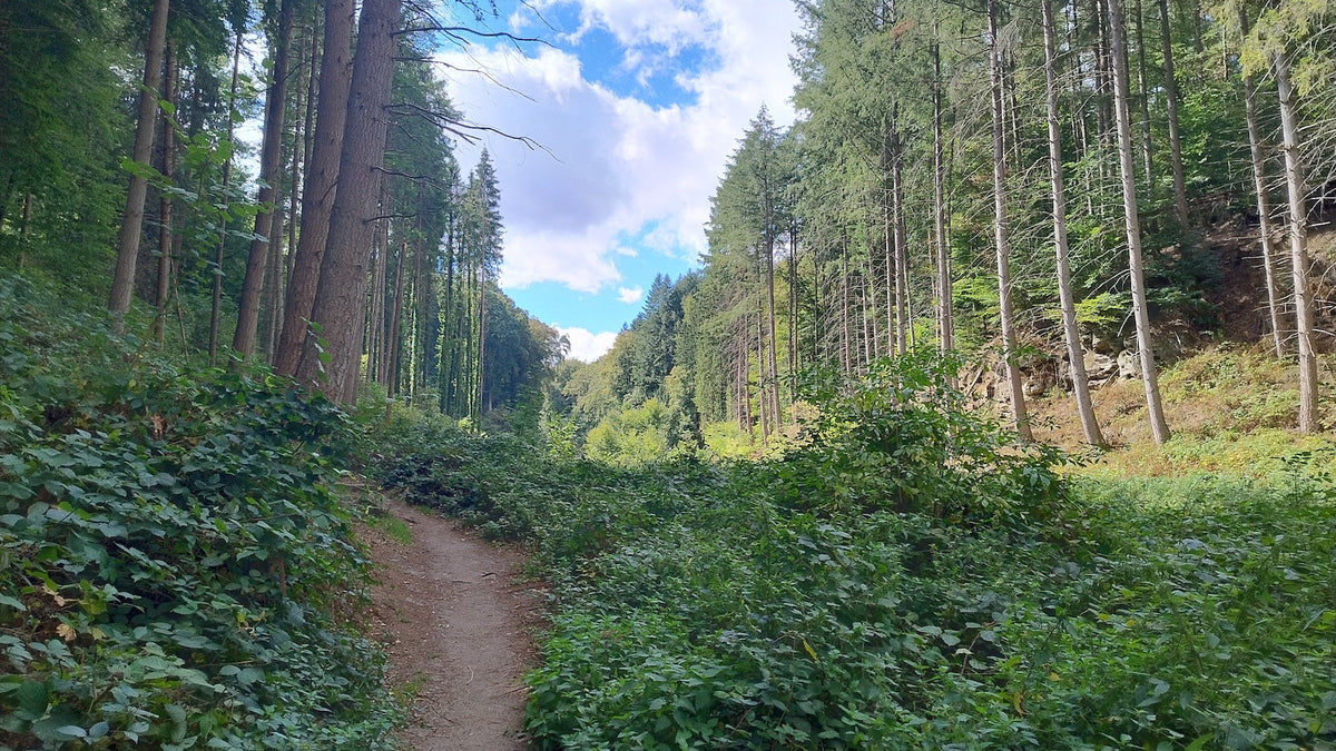 Naomi liep de Ultra Trail Müllerthal Leopard van 75 km