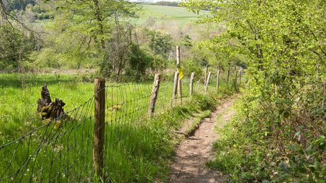 Koning van Spanje Trail - Informatie en inschrijven - Trail.nl