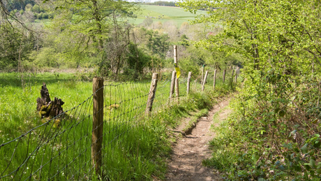 Koning van Spanje Trail