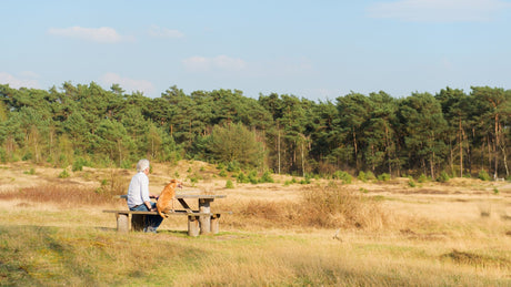 Leersumse Veld Trail Zomer 2024 - Trail.nl