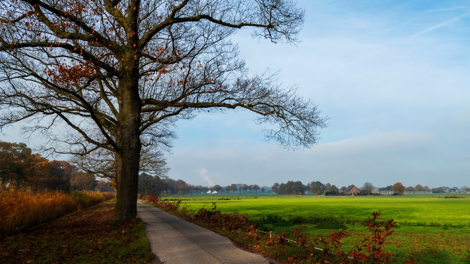 Lenteloop Eerbeek 2024 - Trail.nl