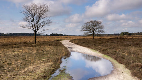 Ooievaarstrail 2024 - Trail.nl