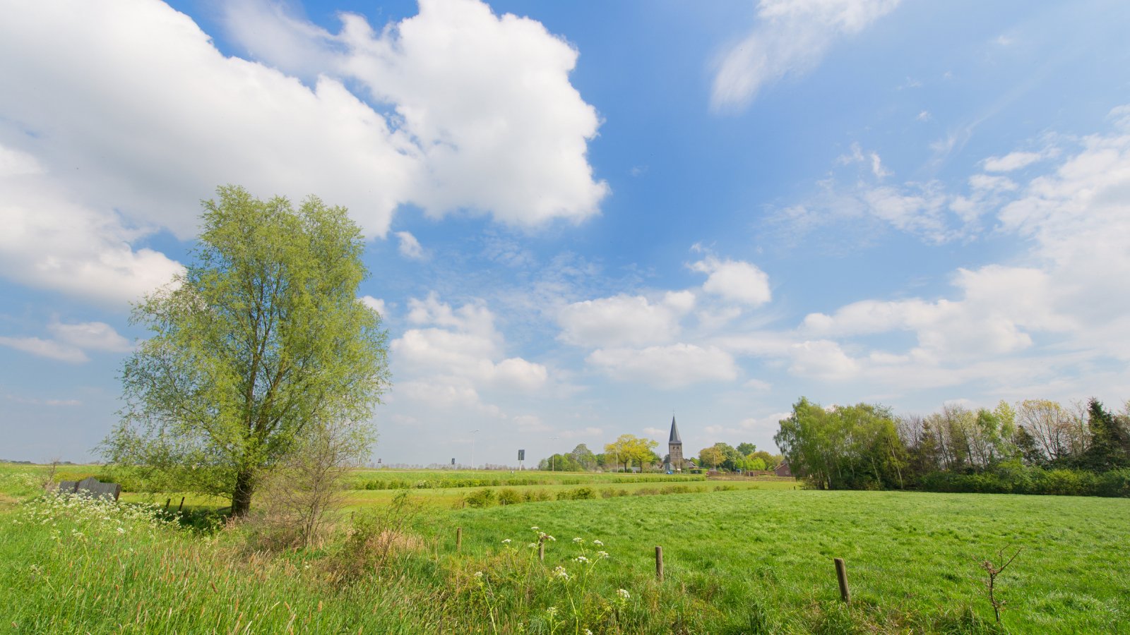 OVM Haarlo-op 2024 - Trail.nl