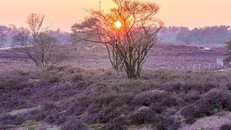 RopaTrail Huizen 2024 - Trail.nl