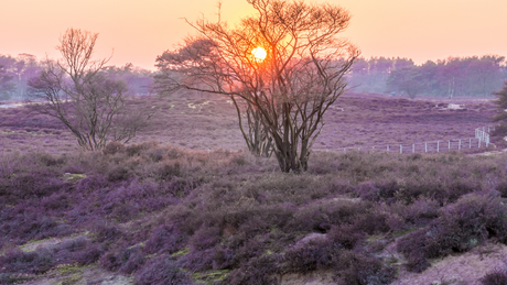 ropatrail huizen