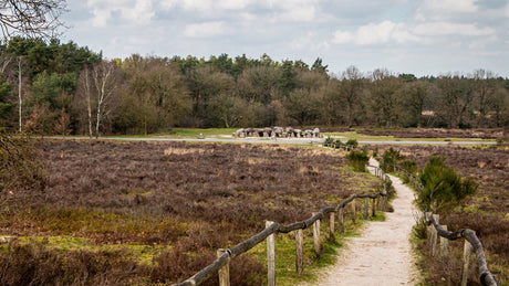 RunForestRun Holtingerveld - Trail.nl