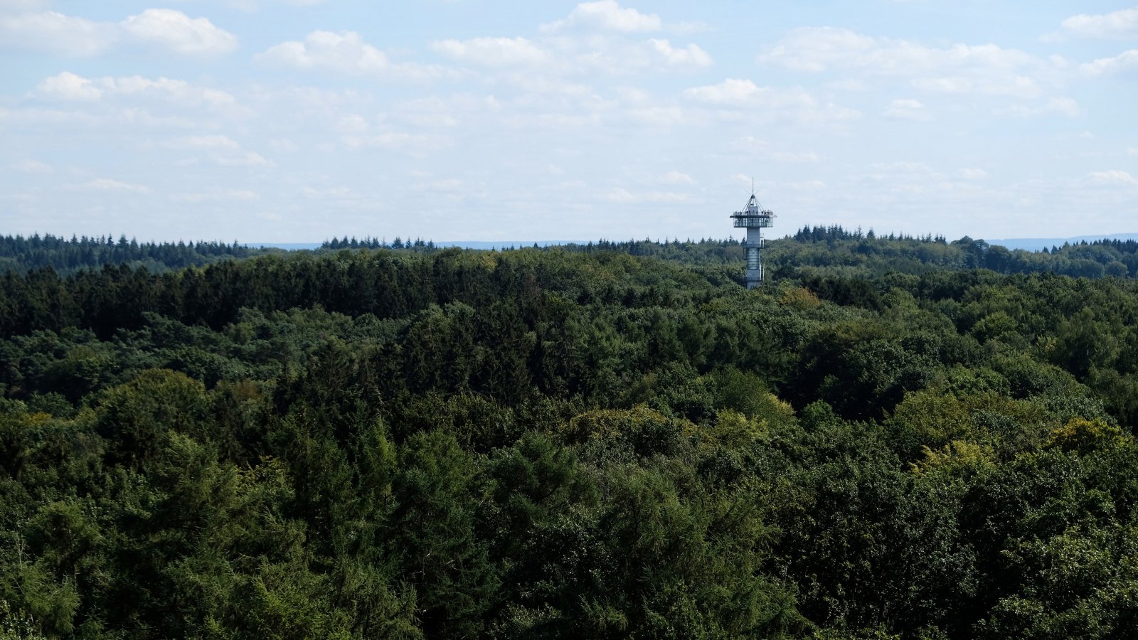 Schneeberg Trail - Trail.nl