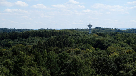 Schneeberg Trail - Trail.nl