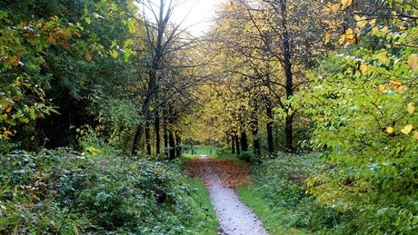 Sytze Wetting Trail - Informatie en inschrijven - Trail.nl