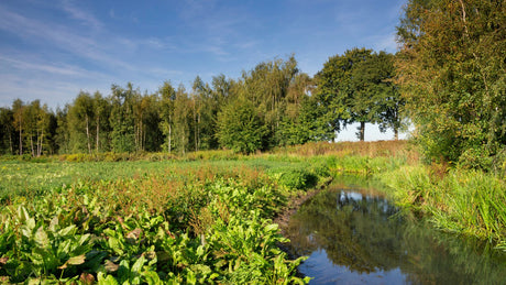 Trailrun Leudal 2024 - Trail.nl