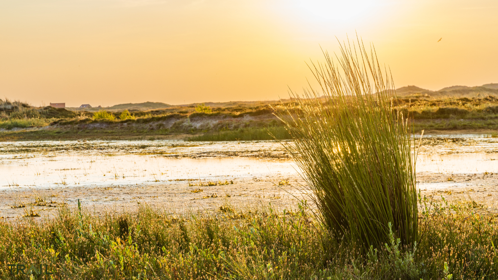 Trailrun Terschelling 2025