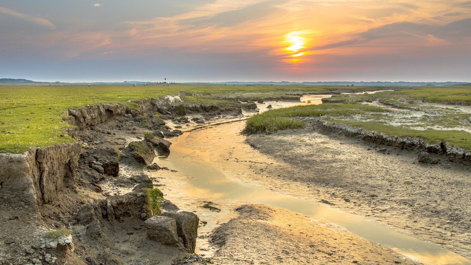 Vuurtoren Trail & Walk Ameland 2024 - Trail.nl