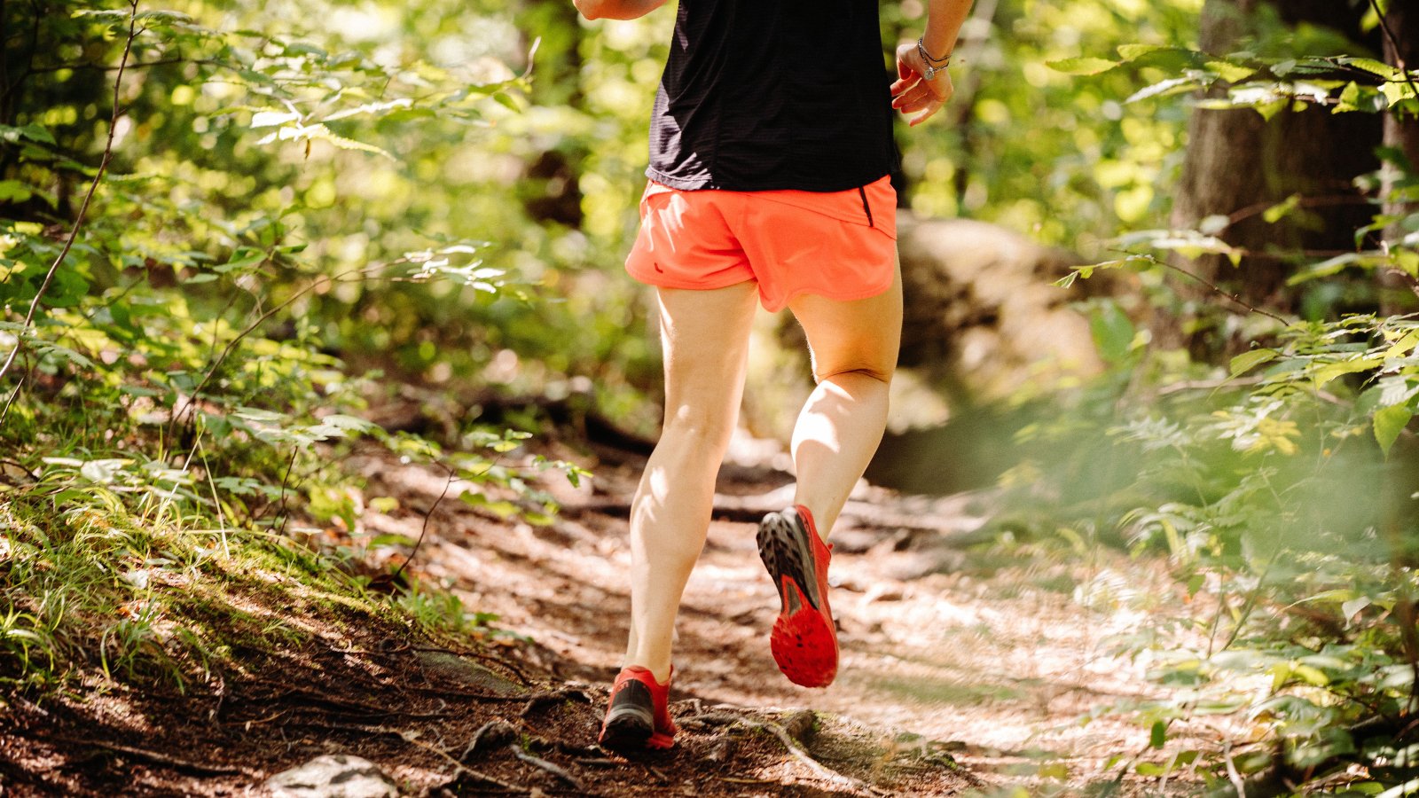 Wat is trail runnen en hoe kunnen we jou daar bij helpen? - Trail.nl