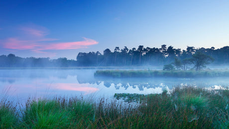 Zwerftrail voor Roparun 2024 - Trail.nl