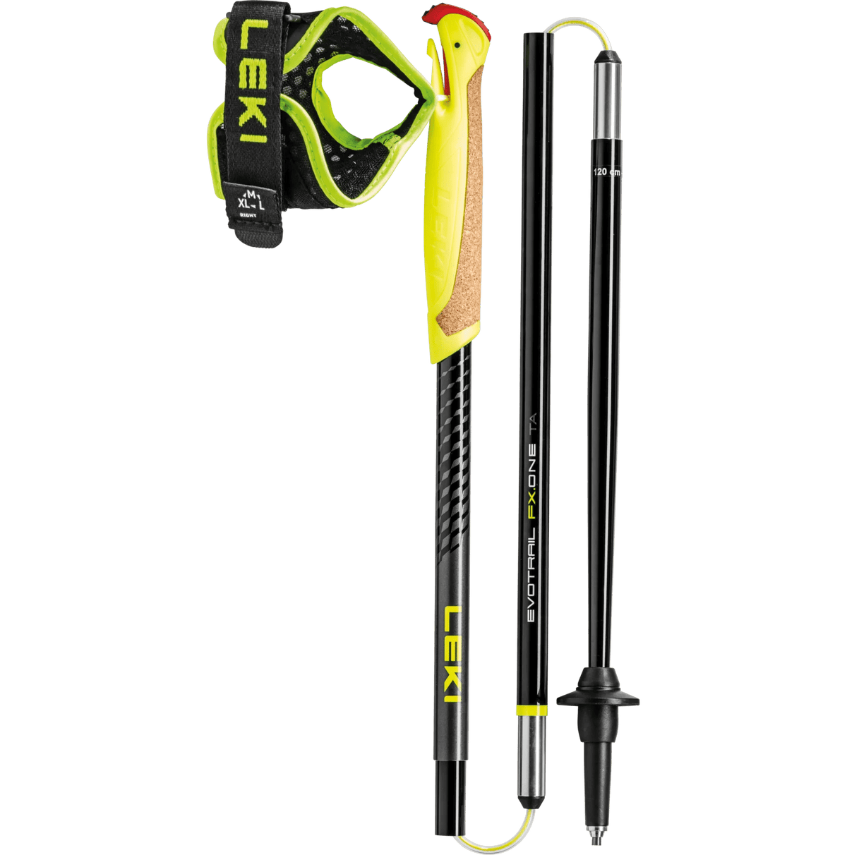 Trail poles: Sturdy & affordable