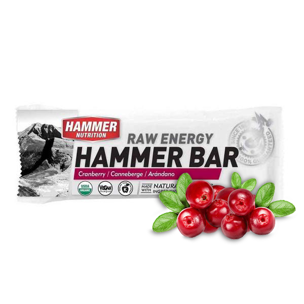 Hammer Nutrition | Raw Energy | Vegan Energybar | 27 Gram Carbs | Trail.nl