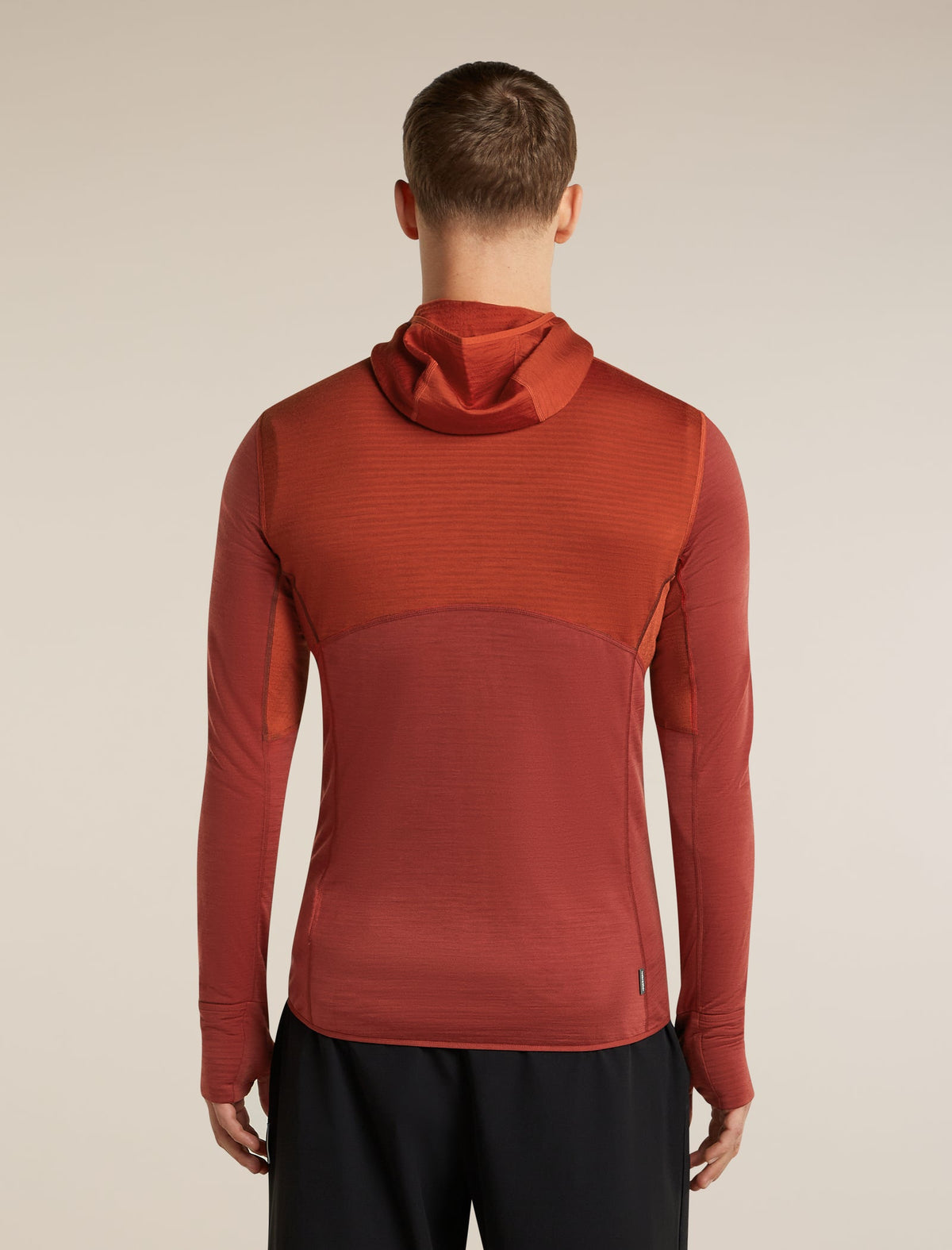 Icebreaker 200 RealFleece Descender Hoodie Heren