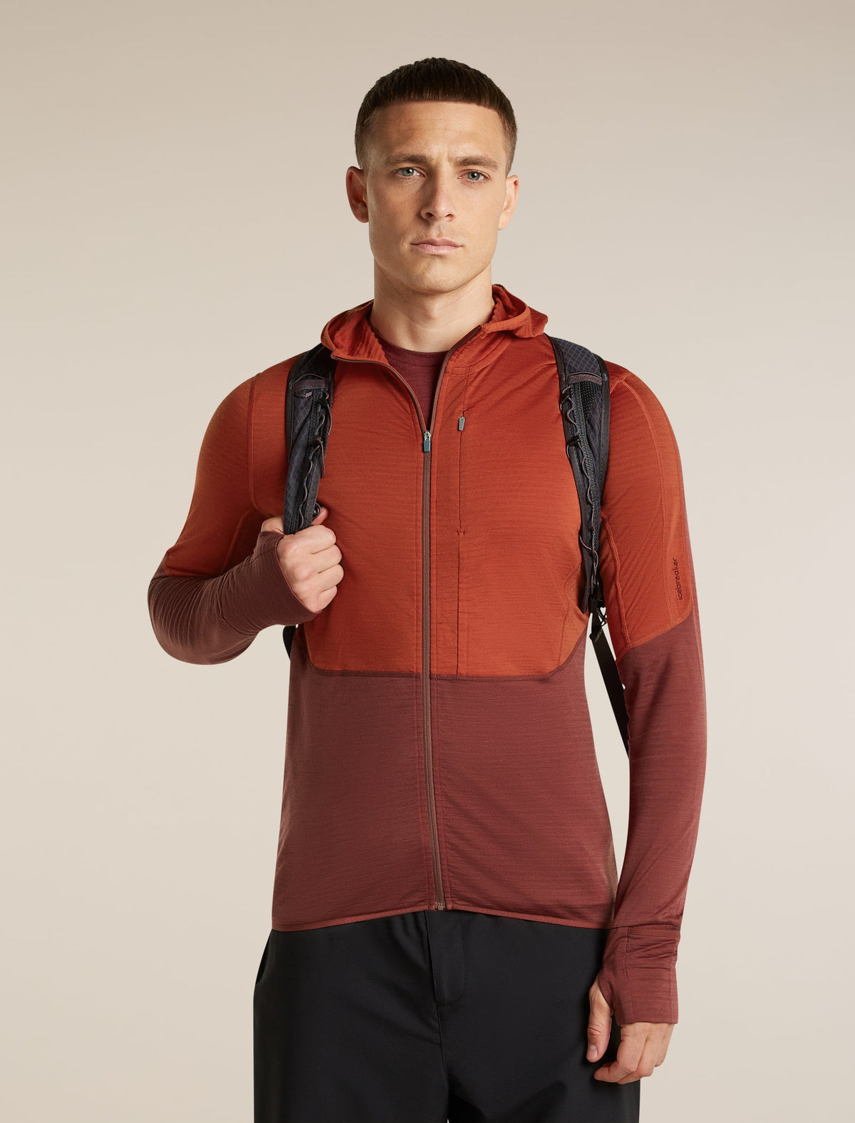 Icebreaker 200 RealFleece Descender Hoodie Heren