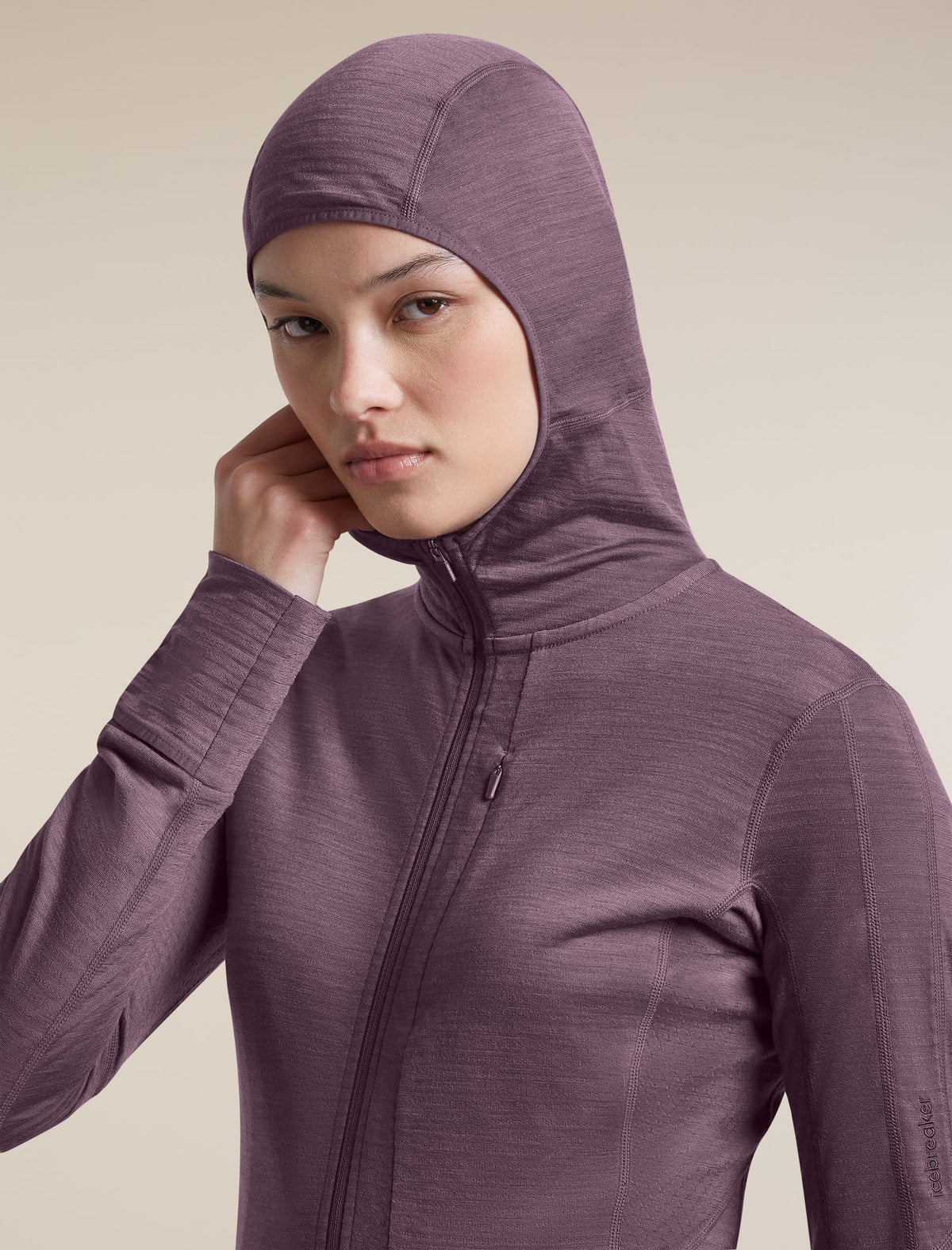 Icebreaker 200 RealFleece Descender Hoodie Dames