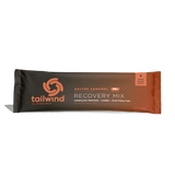 Tailwind Recovery Mix (20g Proteine) | Trail.nl