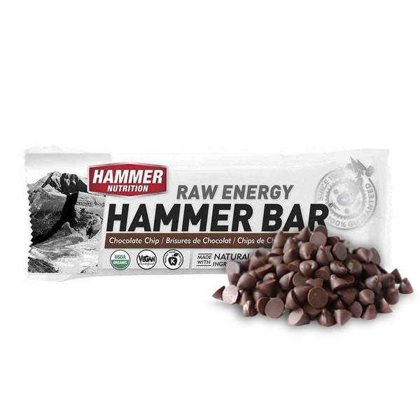 Hammer Nutrition | Raw Energy | Vegan Energybar | 27 Gram Carbs | Trail.nl