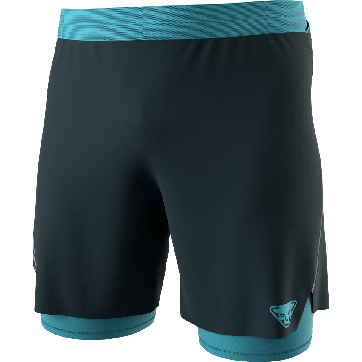 Dynafit | Alpine Pro 2/1 Shorts | 2-in-1 Short | Heren | Trail.nl