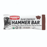 Hammer Nutrition | Raw Energy | Vegan Energybar | 27 Gram Carbs | Trail.nl