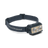 Black Diamond Storm 750+ Headlamp (750 lumen) - Trail.nl