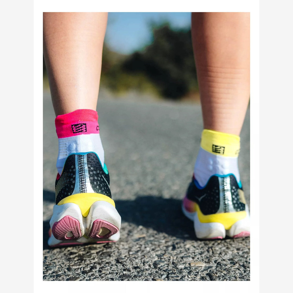 Compressport Pro Racing Socks Run V4.0 Low | Trail.nl