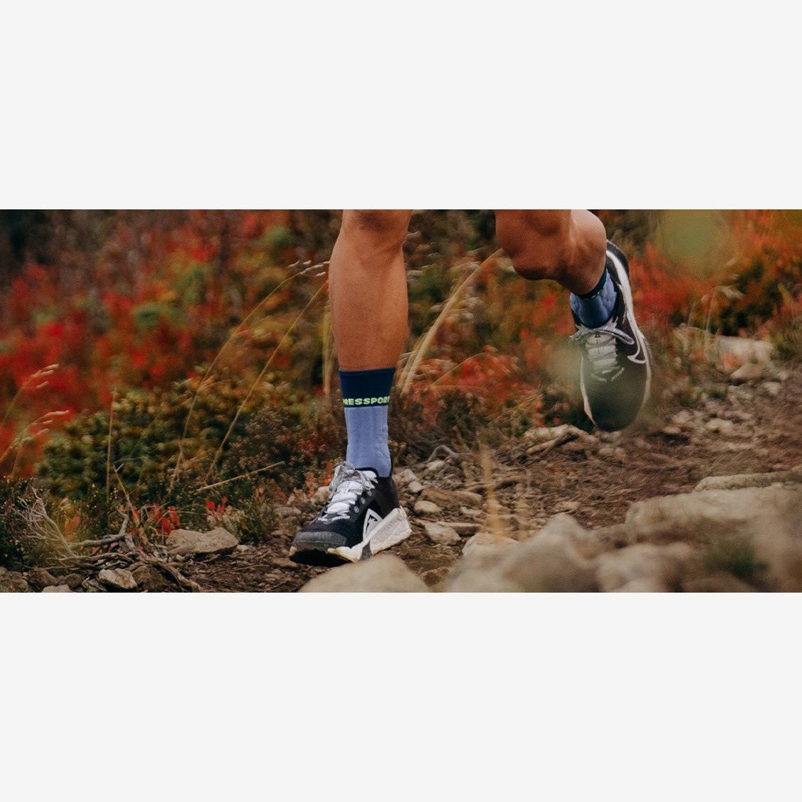 Compressport Pro Racing Socks Winter Trail | Trail.nl