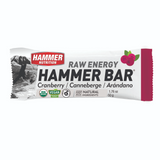 Hammer Nutrition | Raw Energy | Vegan Energybar | 27 Gram Carbs | Trail.nl