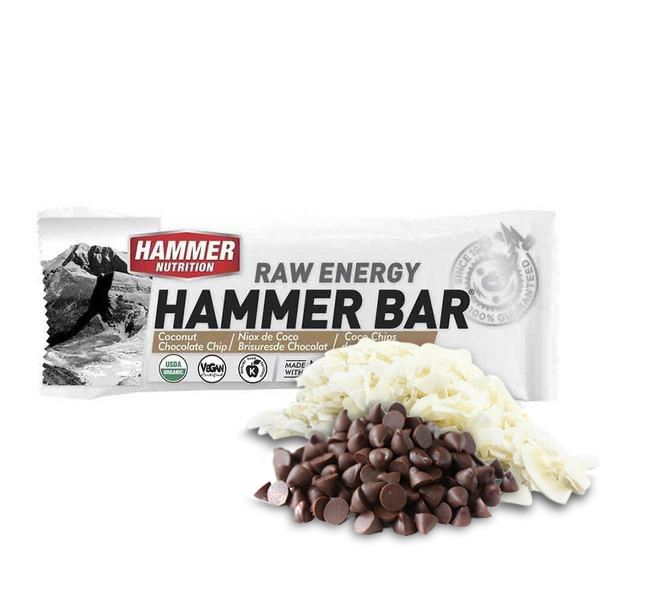 Hammer Nutrition | Raw Energy | Vegan Energybar | 27 Gram Carbs | Trail.nl