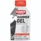 Hammer Nutrition | Rapid Energy Fuel | Energy Gel | 22 Gram Carbs | Trail.nl