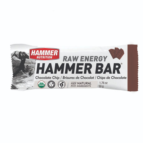 Hammer Nutrition | Raw Energy | Vegan Energybar | 27 Gram Carbs | Trail.nl