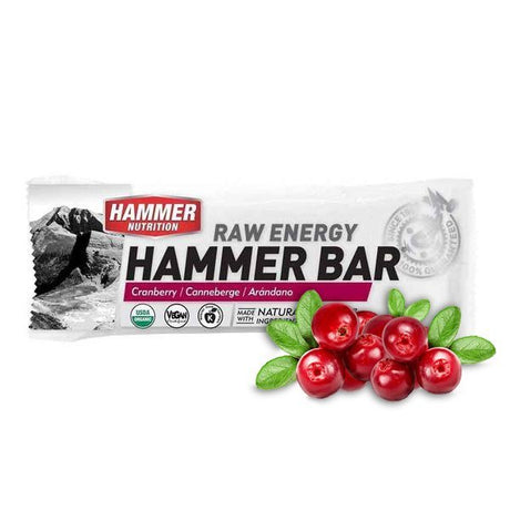 Hammer Nutrition | Raw Energy | Vegan Energybar | Trail.nl