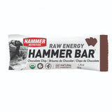 Hammer Nutrition | Raw Energy | Vegan Energybar | Trail.nl