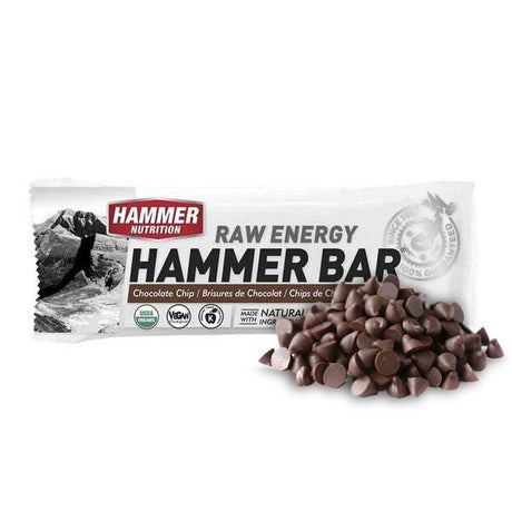 Hammer Nutrition | Raw Energy | Vegan Energybar | Trail.nl