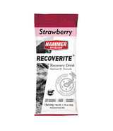 Hammer Nutrition | Recoverite 2.0 | Post-Workout Recovery Drink | 10 Gram Proteïne | Trail.nl