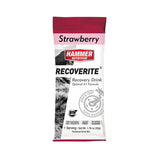 Hammer Nutrition | Recoverite 2.0 | Post-Workout Recovery Drink | 10 Gram Proteïne | Trail.nl