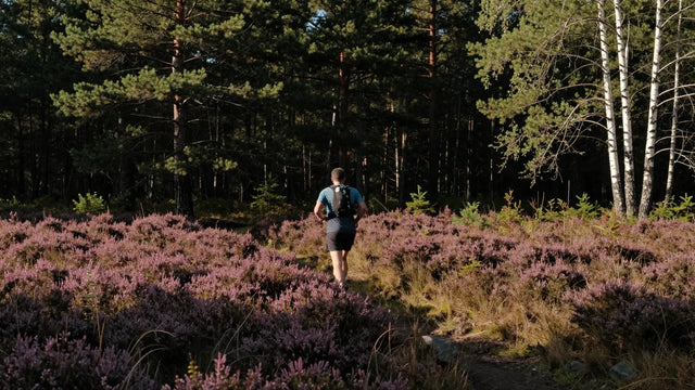 Hooge Vuursche Trail