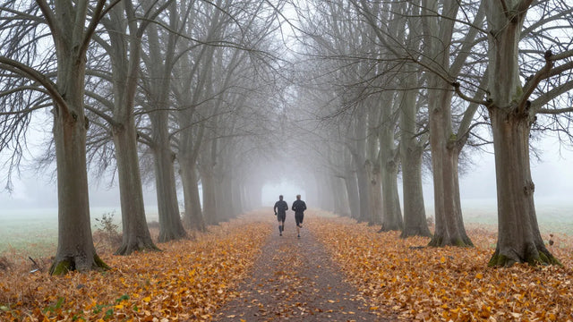 Lage Vuursche Trail November