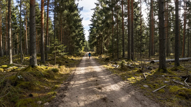 Leenderbos Ultra