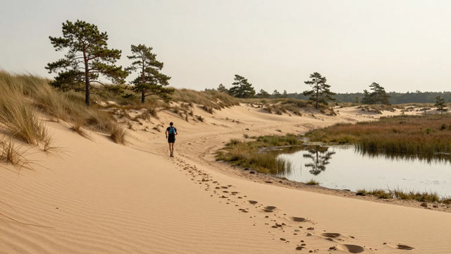 Maasduinen Trail