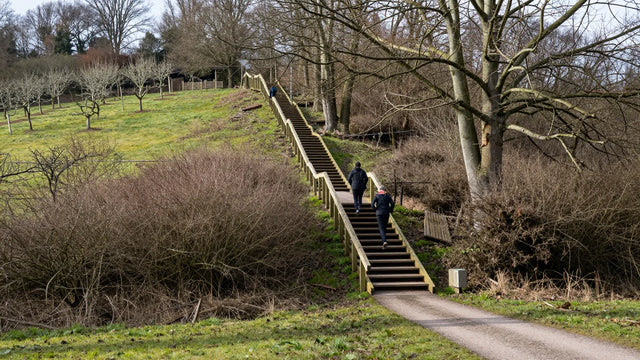 Mescherbergloop