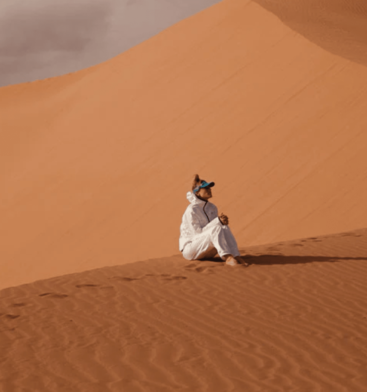 Raidlight | Tyvek Bivouac Jacket | Windstopper | Unisex | Trail.nl