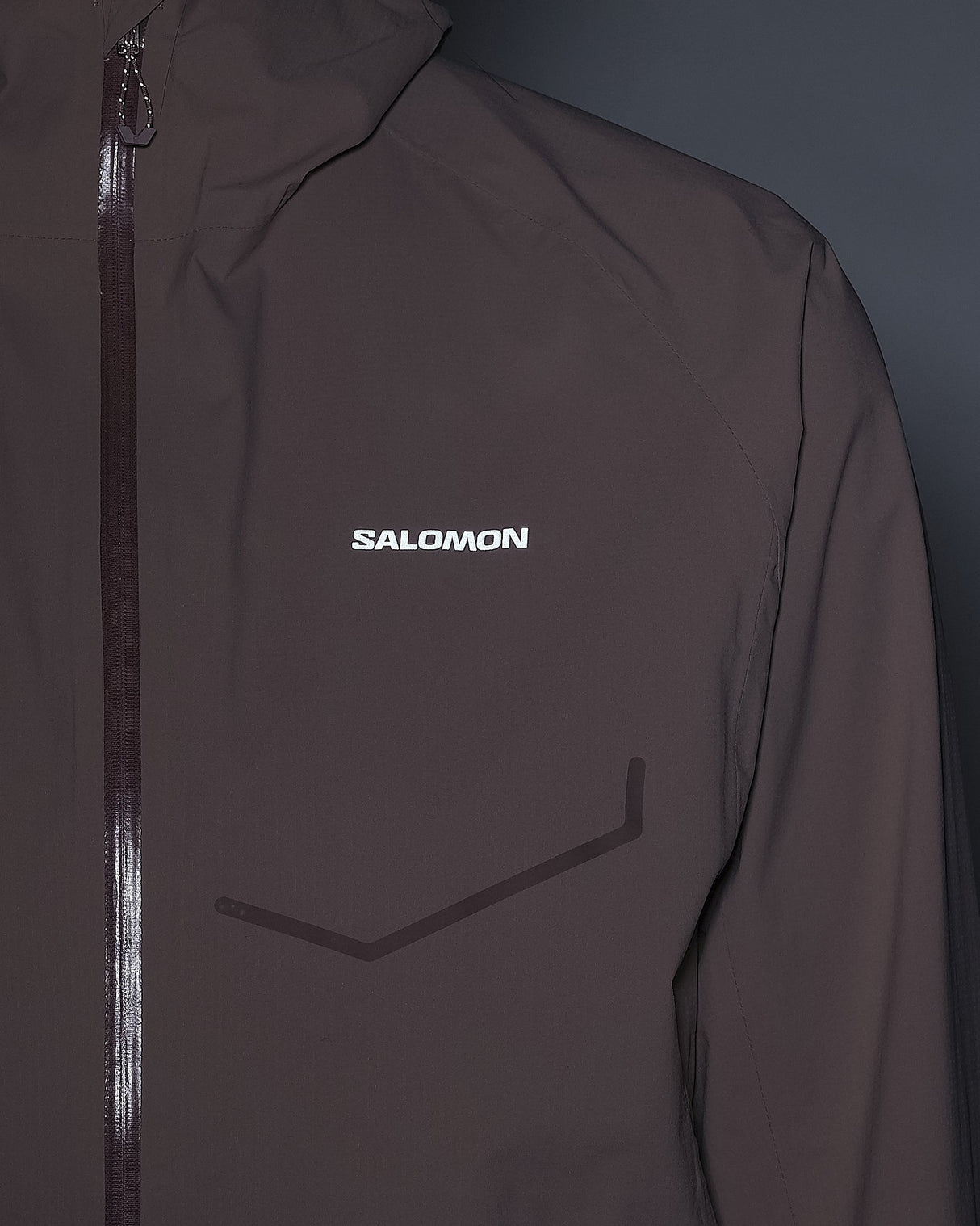 Salomon Bonatti Waterproof Dames | Trail.nl