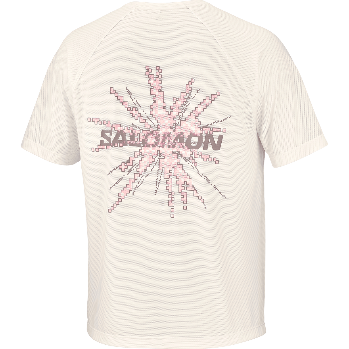 Salomon Shakeout Core Tee GFX Heren | Trail.nl